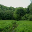 호반펜션&가든 | 가평 계곡 근처 펜션 추천, 자연 속 힐링 여행 완벽 가이드