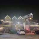 강촌초코민트 이미지