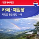 대새환경