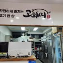 고돼지고양