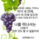 단물쓴물 이미지