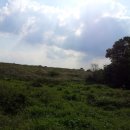 순정목장 이미지