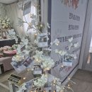 (주)젠틀펫 이미지