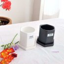 도기냐미 이미지