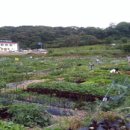 만물농장 이미지