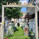 인사이드 | 가로수길 카페 룩인사이드 후기 - 다양한 전시를 감상할 수 있는 조용한 갤러리 카페🖼