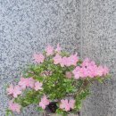 이은경컬렉션