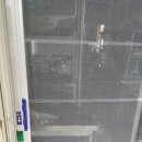 로취사이언스 네이버블로그