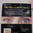 로데오안경콘택트(청주성안점) | 청주 안경 :-) 글라스바바 청주점