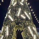 중원서로 | 진해 중원로터리 대형 큰트리마을 창원 크리스마스 불빛 볼거리 데이트 추천