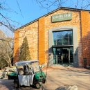 스테이포레스트 | 근교 1박2일 유럽 여행 더스테이힐링파크 숲캉스 숙소 후기 포레스트A 포레스트B 커피트리 비교 산책...