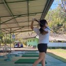 에버그린여행사 이미지