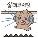 빈제이 이미지