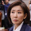 한미협상에 나경원 "일본보다 더 과도한 헌납…아무리 봐도 칭찬하기 어려워" 이미지