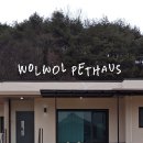 월월애견펜션 이미지