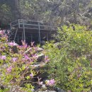 지리산산장민박 이미지