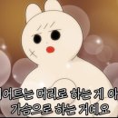 핏앤다이어트 - 서구 | 핏앤다이어트