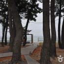 등명해변 이미지