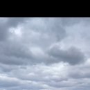 헌화로슈퍼 이미지