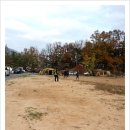 미르오토 이미지