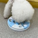 멍테소리 이미지