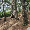 춘추 유아숲체험원 이미지