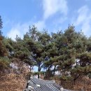 단양 [국보 제198호 신라적성비&amp;적성산성] 이미지