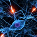 로드짐휘트니스 2호점 이미지