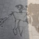 다이소금호지구점 이미지