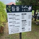들풀카페