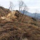 여주-1043 이미지