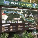 [부산북구관광지추천] 부산 백양산 웰빙숲 취재 탐방 부산북구 여행지 및 산책로 추천