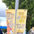 양동경열로시장 이미지