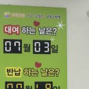 인천광역시 남동구청 소강당 | 도담도담 장난감월드 남동구청점, 아기 장난감 대여 하는 곳