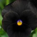 봉선체육공원2 이미지