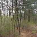 옹달샘약수터 이미지