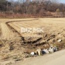 영대농장 이미지