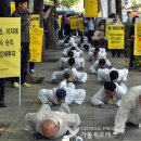 세월호 기간제 교사 순직 인정하라 이미지