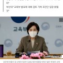 조민, 결국 입학 취소될 듯..교육부서 공 넘겨받은 부산대 이미지