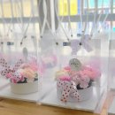 호성초등학교병설유치원 이미지