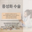 나라동물병원 이미지