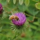 구름호수마을(운호마을) 이미지