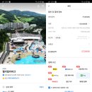 웰리힐리파크 숙소 온돌룸+루지 등 후기