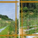 다사농장 이미지