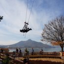 콩이랜드 이미지