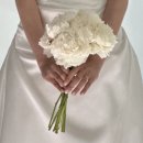 박진만 | 광주 라크마스튜디오 웨딩촬영 및 셀렉 보정 후기 (원본구매 수정본구매 추가금 견적공유 등)