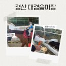 대경목장 네이버블로그