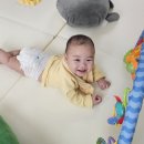 유나목장 이미지