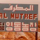 김영복농장 Daum카페