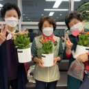 서구노인종합복지관 이미지